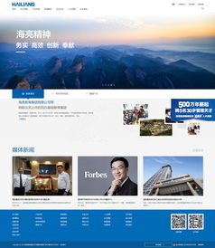 专业网站建设解决方案 助您打造高品质数字形象