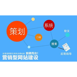 白云区门户网站建设全攻略 从需求到落地的完整指南